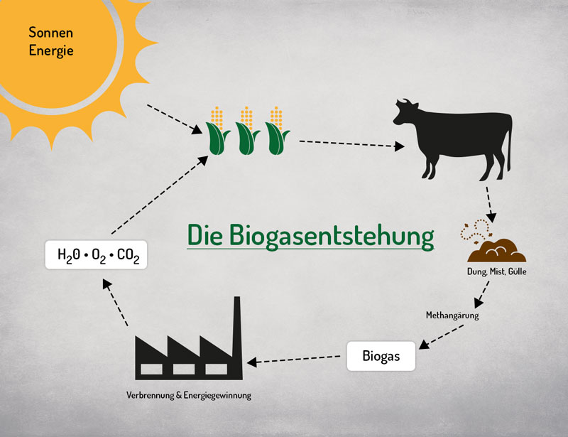 biogas_kreislauf-infografik